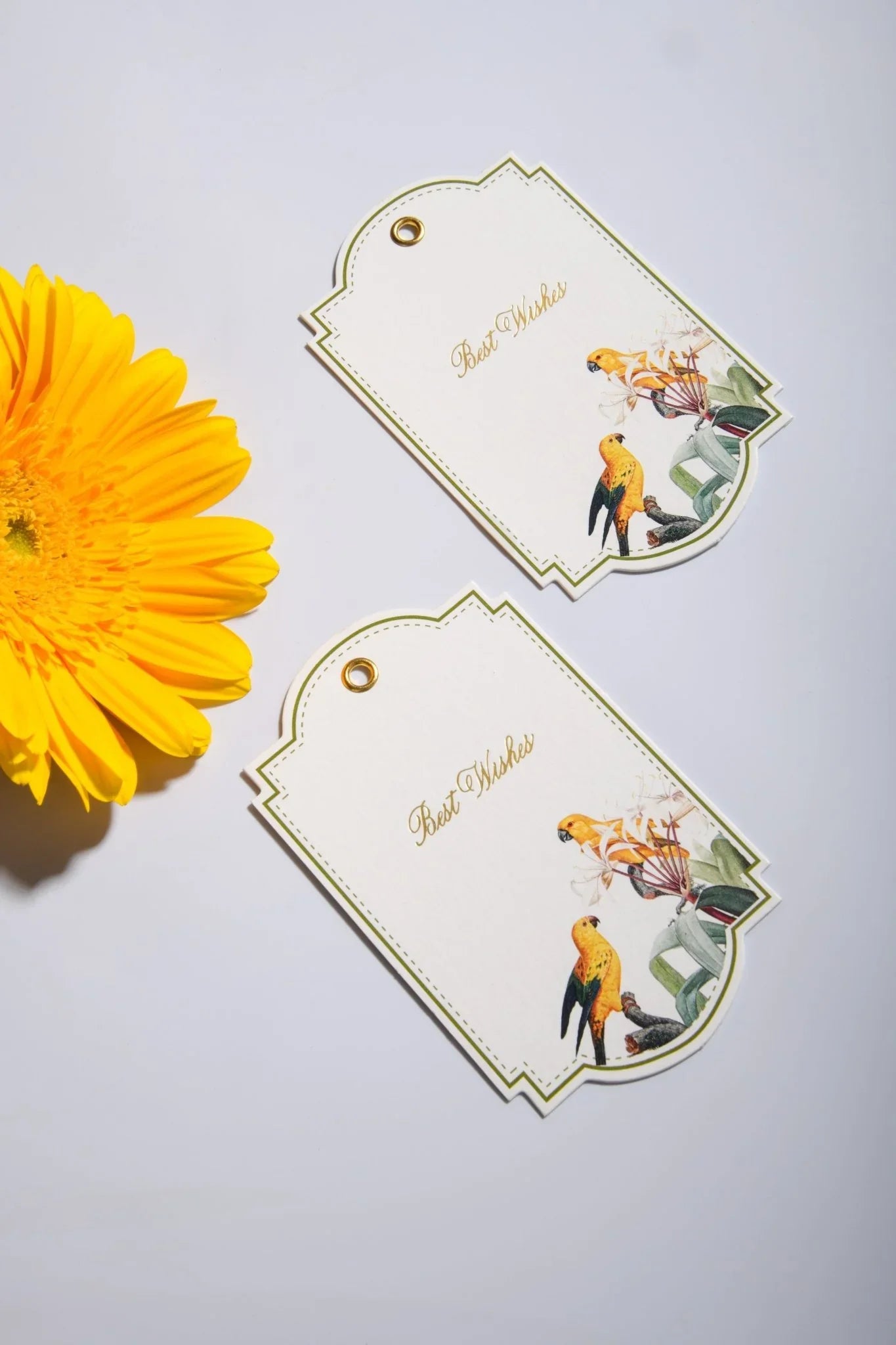 Personalised Tags - Pluma - Tishya Pansari